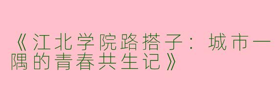 《江北学院路搭子：城市一隅的青春共生记》