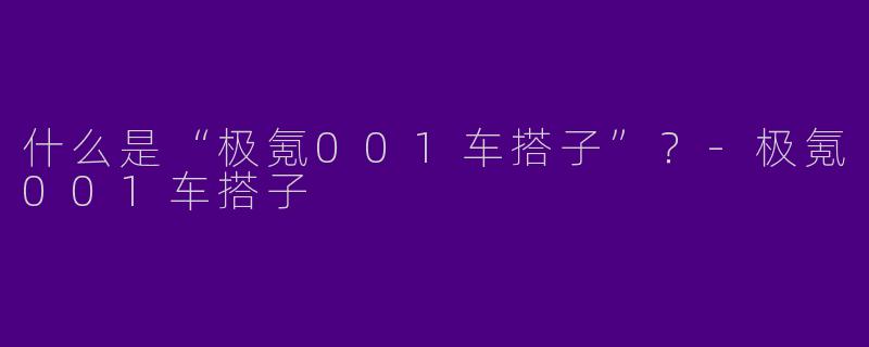 什么是“极氪001车搭子”？