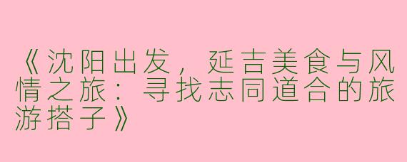 《沈阳出发，延吉美食与风情之旅：寻找志同道合的旅游搭子》