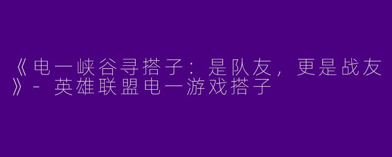 《电一峡谷寻搭子：是队友，更是战友》-英雄联盟电一游戏搭子
