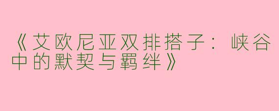 《艾欧尼亚双排搭子：峡谷中的默契与羁绊》