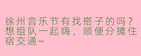 徐州音乐节有找搭子的吗？想组队一起嗨，顺便分摊住宿交通~