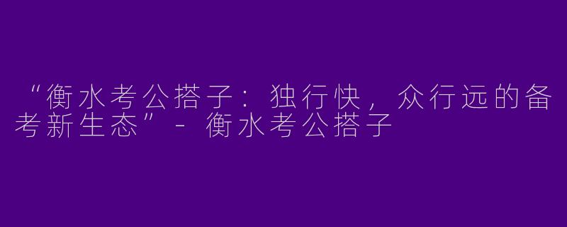 “衡水考公搭子：独行快，众行远的备考新生态”-衡水考公搭子