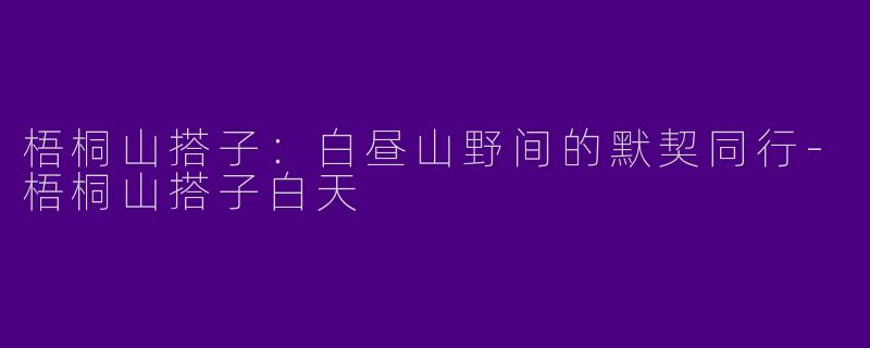 梧桐山搭子：白昼山野间的默契同行-梧桐山搭子白天