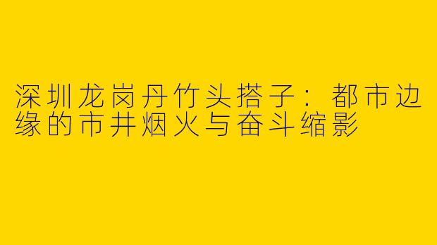 深圳龙岗丹竹头搭子：都市边缘的市井烟火与奋斗缩影
