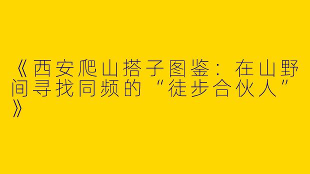 《西安爬山搭子图鉴：在山野间寻找同频的“徒步合伙人”》