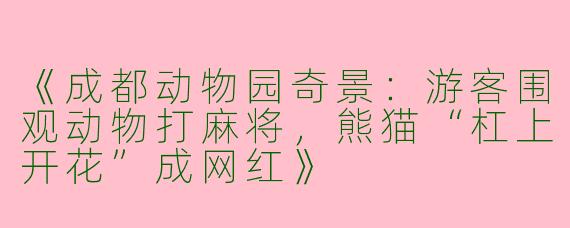 《成都动物园奇景:游客围观动物打麻将,熊猫“杠上开花”成网红》