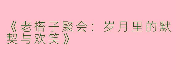 《老搭子聚会：岁月里的默契与欢笑》
