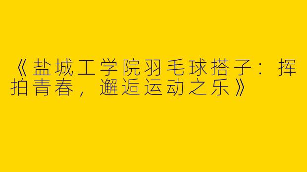 《盐城工学院羽毛球搭子：挥拍青春，邂逅运动之乐》