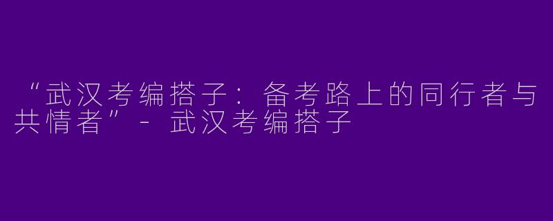 “武汉考编搭子：备考路上的同行者与共情者”-武汉考编搭子