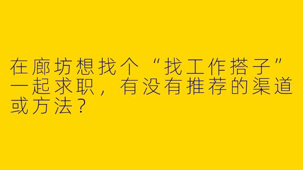 在廊坊想找个“找工作搭子”一起求职，有没有推荐的渠道或方法？