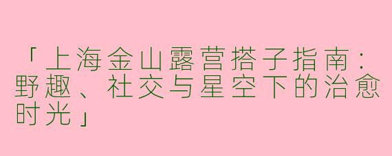 「上海金山露营搭子指南：野趣、社交与星空下的治愈时光」