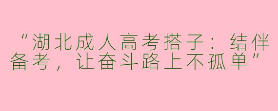 “湖北成人高考搭子：结伴备考，让奋斗路上不孤单”