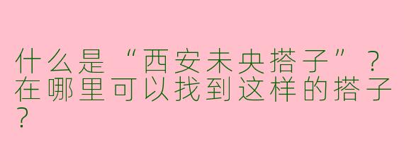 什么是“西安未央搭子”？在哪里可以找到这样的搭子？