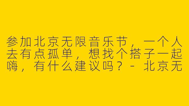 参加北京无限音乐节，一个人去有点孤单，想找个搭子一起嗨，有什么建议吗？