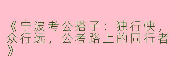 《宁波考公搭子：独行快，众行远，公考路上的同行者》