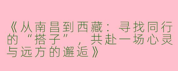 《从南昌到西藏:寻找同行的“搭子”,共赴一场心灵与远方的邂逅》