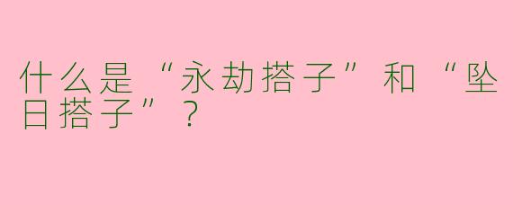 什么是“永劫搭子”和“坠日搭子”？