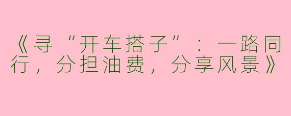 《寻“开车搭子”：一路同行，分担油费，分享风景》