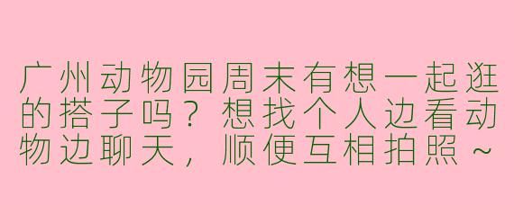 广州动物园周末有想一起逛的搭子吗?想找个人边看动物边聊天,顺便互相拍照~