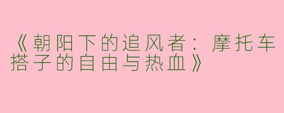 《朝阳下的追风者：摩托车搭子的自由与热血》