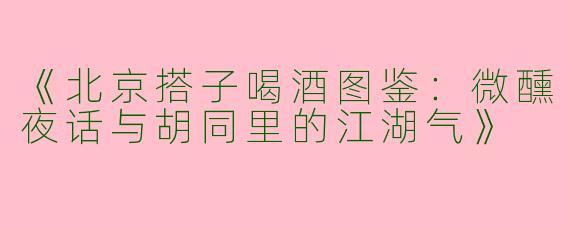 《北京搭子喝酒图鉴：微醺夜话与胡同里的江湖气》