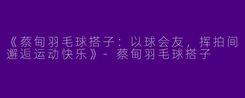 《蔡甸羽毛球搭子：以球会友，挥拍间邂逅运动快乐》-蔡甸羽毛球搭子