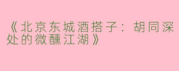 《北京东城酒搭子：胡同深处的微醺江湖》