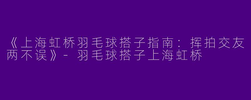 《上海虹桥羽毛球搭子指南：挥拍交友两不误》-羽毛球搭子上海虹桥