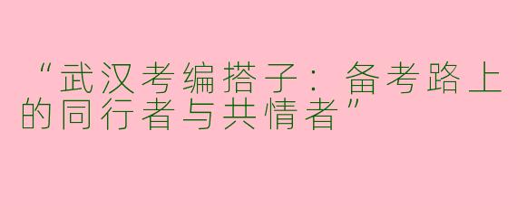 “武汉考编搭子：备考路上的同行者与共情者”