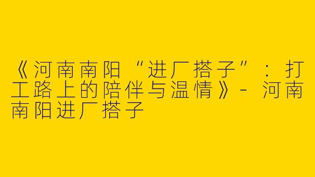 《河南南阳“进厂搭子”：打工路上的陪伴与温情》-河南南阳进厂搭子
