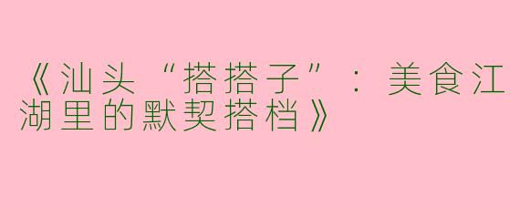 《汕头“搭搭子”：美食江湖里的默契搭档》