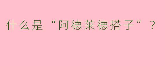 什么是“阿德莱德搭子”？