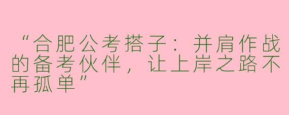 “合肥公考搭子：并肩作战的备考伙伴，让上岸之路不再孤单”