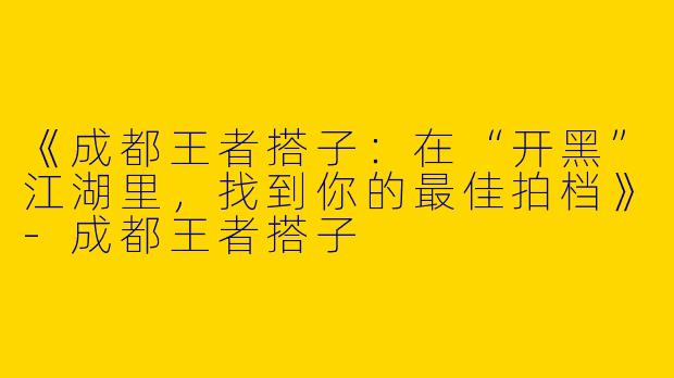 《成都王者搭子：在“开黑”江湖里，找到你的最佳拍档》-成都王者搭子