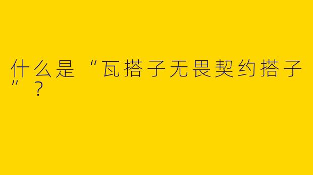 什么是“瓦搭子无畏契约搭子”？