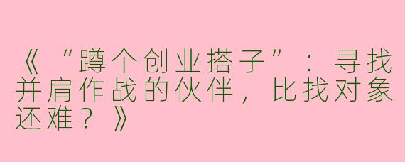 《“蹲个创业搭子”：寻找并肩作战的伙伴，比找对象还难？》