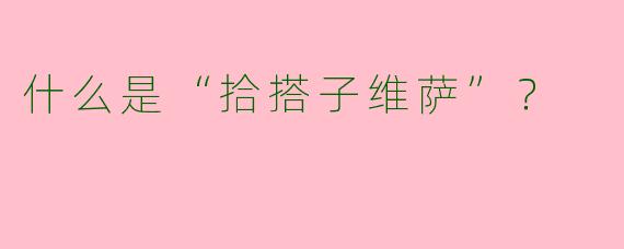 什么是“拾搭子维萨”？