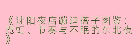 《沈阳夜店蹦迪搭子图鉴：霓虹、节奏与不眠的东北夜》