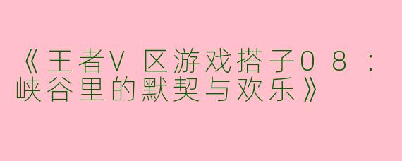 《王者V区游戏搭子08：峡谷里的默契与欢乐》