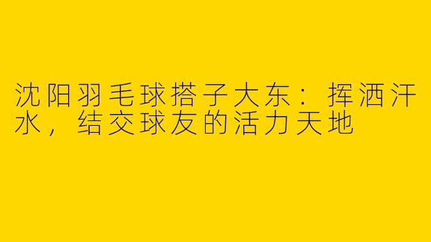 沈阳羽毛球搭子大东：挥洒汗水，结交球友的活力天地