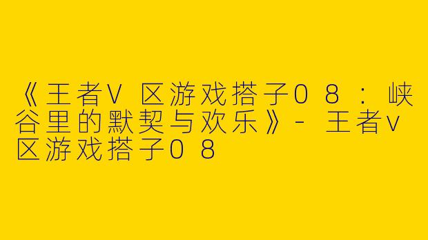 《王者V区游戏搭子08：峡谷里的默契与欢乐》-王者v区游戏搭子08