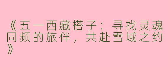 《五一西藏搭子：寻找灵魂同频的旅伴，共赴雪域之约》