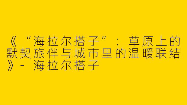 《“海拉尔搭子”：草原上的默契旅伴与城市里的温暖联结》-海拉尔搭子