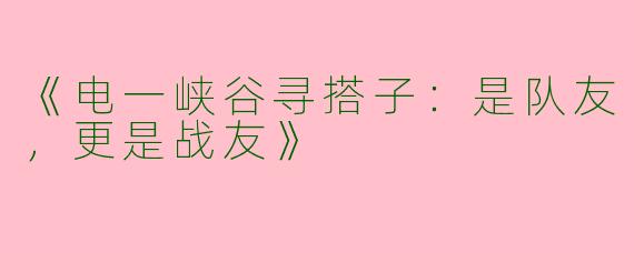 《电一峡谷寻搭子：是队友，更是战友》
