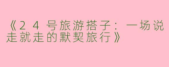 《24号旅游搭子：一场说走就走的默契旅行》