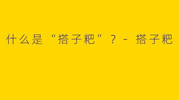 什么是“搭子粑”？-搭子粑