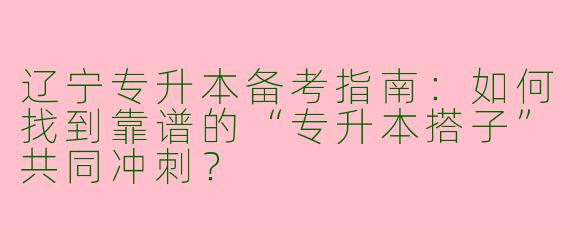辽宁专升本备考指南：如何找到靠谱的“专升本搭子”共同冲刺？