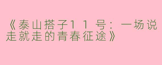 《泰山搭子11号：一场说走就走的青春征途》