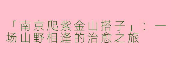 「南京爬紫金山搭子」：一场山野相逢的治愈之旅